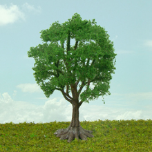 model trees